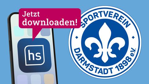 Bild Content-Box Lilien