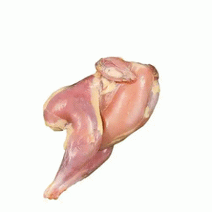 Cock Chicken (Each) Cock Chicken (Each)