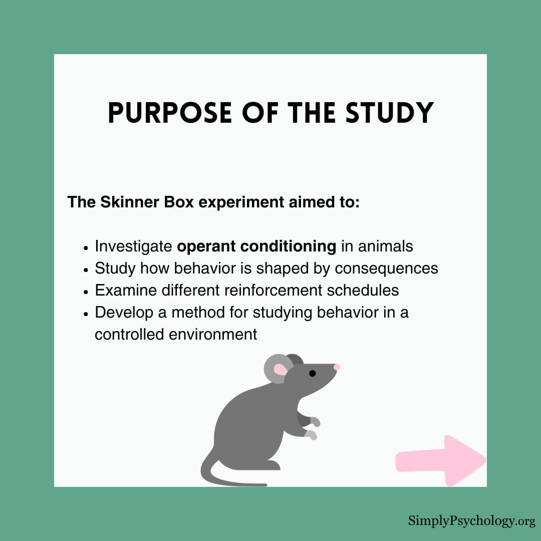 skinner-box-experiment (1) skinner box experiment 1