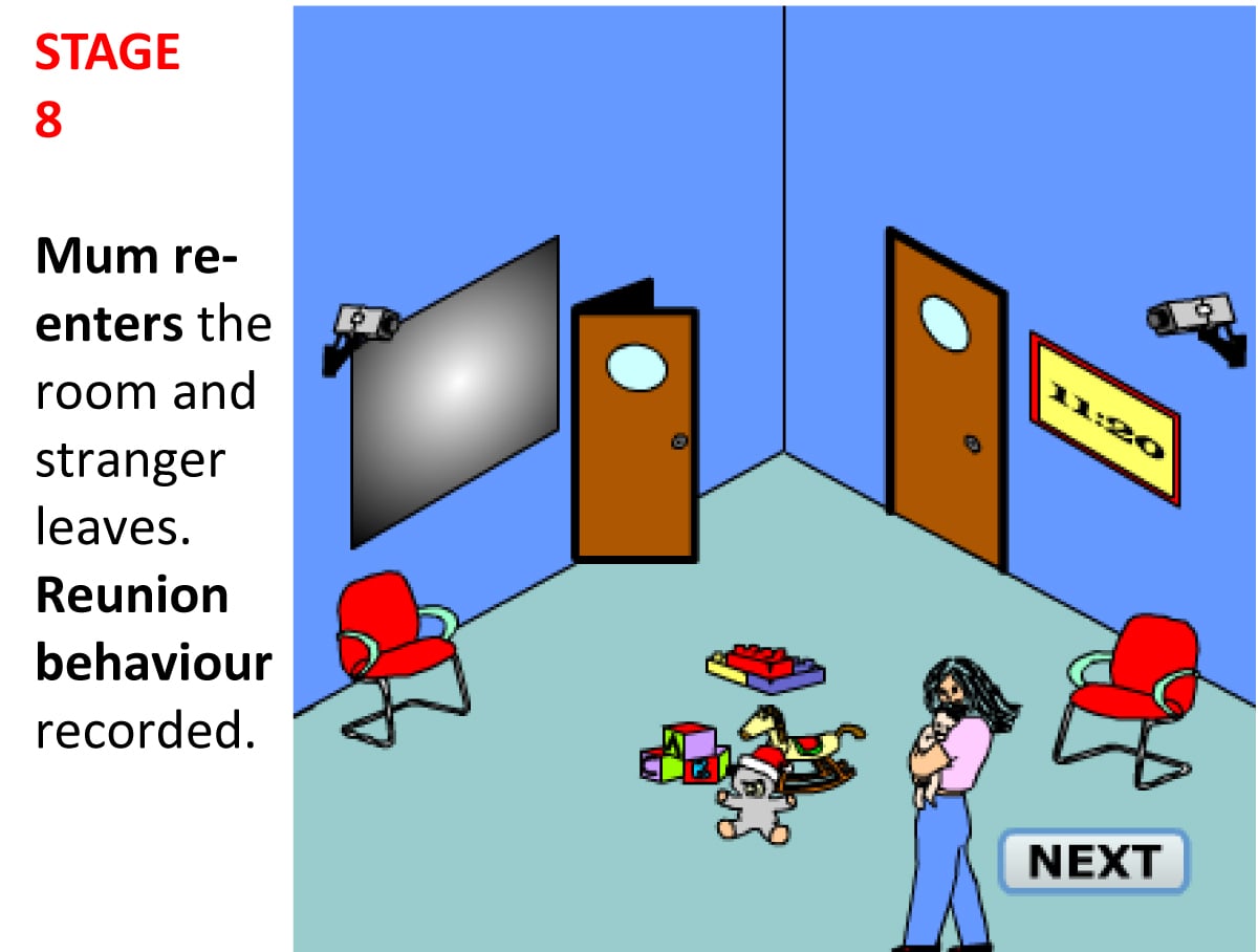 Strange Situation Experiment Episode 8 strange situation 8