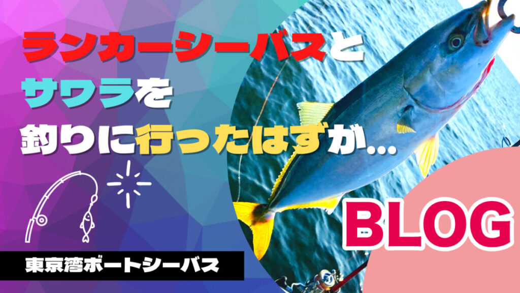 ランカーシーバス狙いのはずが・・・釣果は初青物にアジにサバ???